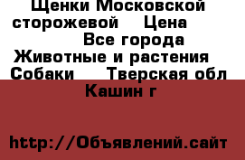 Щенки Московской сторожевой  › Цена ­ 25 000 - Все города Животные и растения » Собаки   . Тверская обл.,Кашин г.